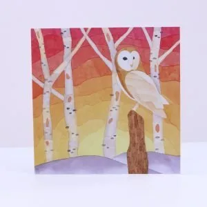 Greetings Card Barn Owl