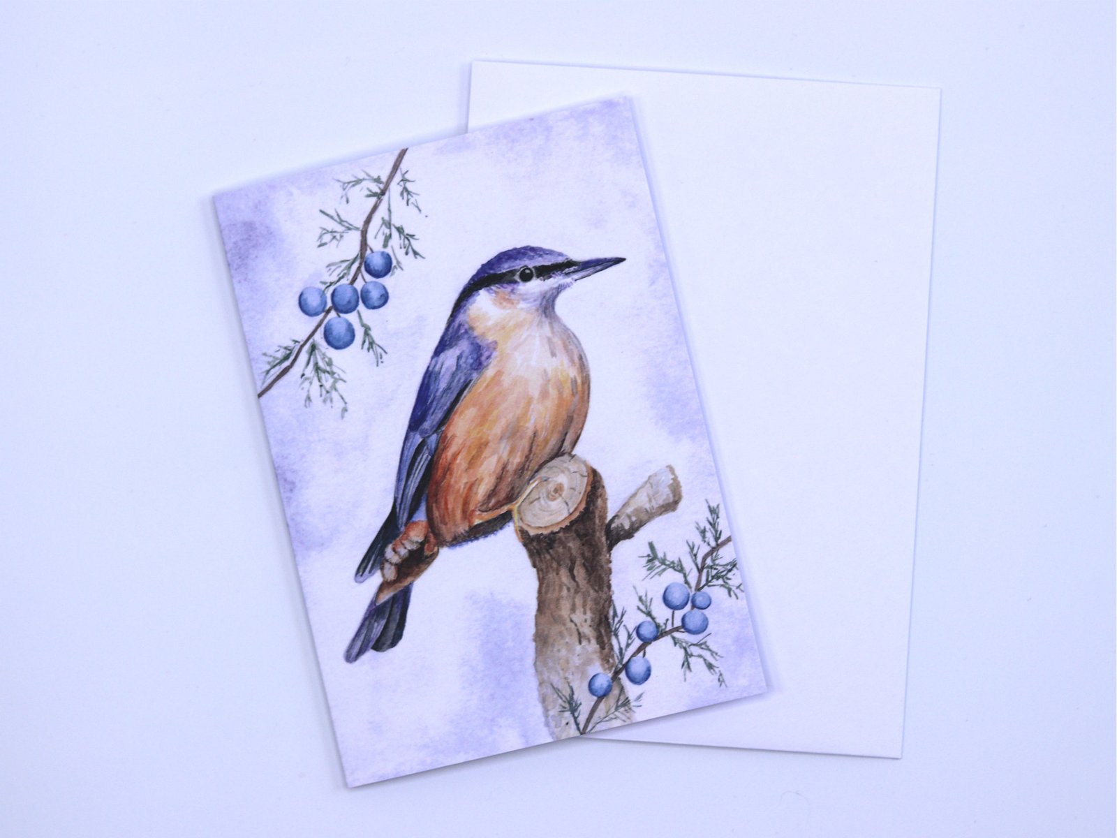Greetings Card Winter Nuthatch
