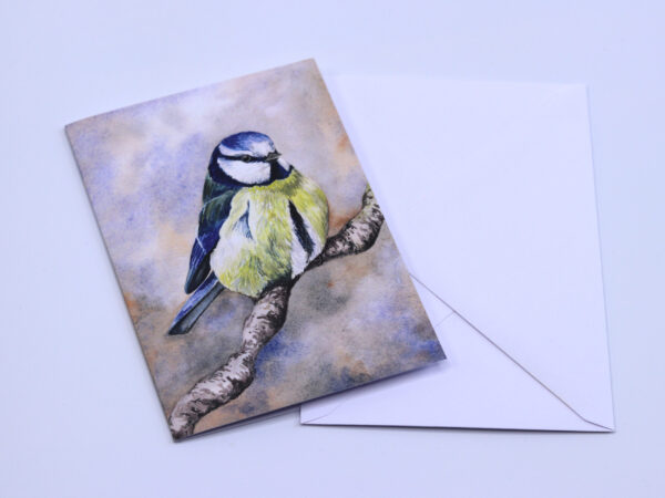 Greetings Card Winter Bluetit