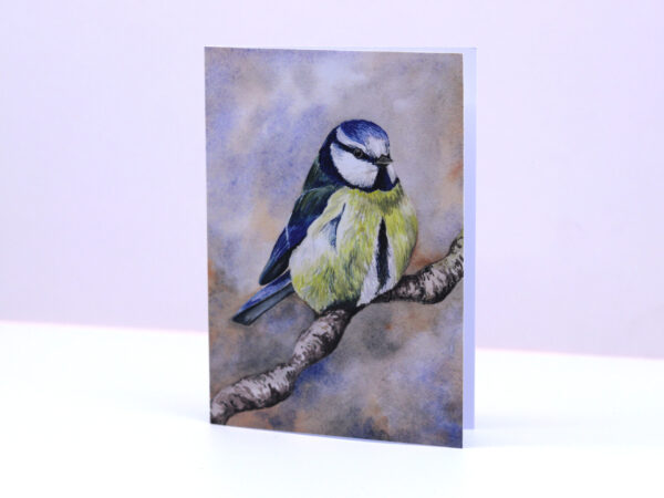 Greetings Card Winter Bluetit