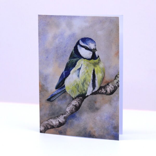 Greetings Card Winter Bluetit