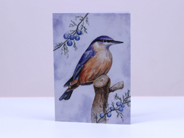 Greetings Card Winter Nuthatch