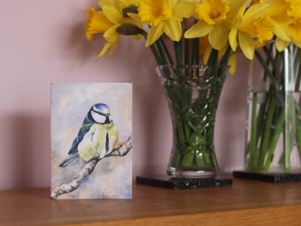 Greetings Card Winter Bluetit
