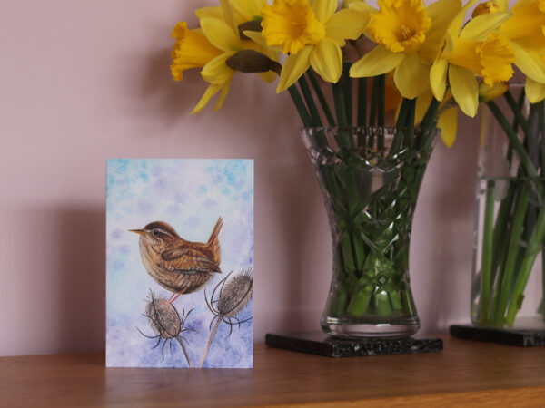 Greetings Card Winter Wren