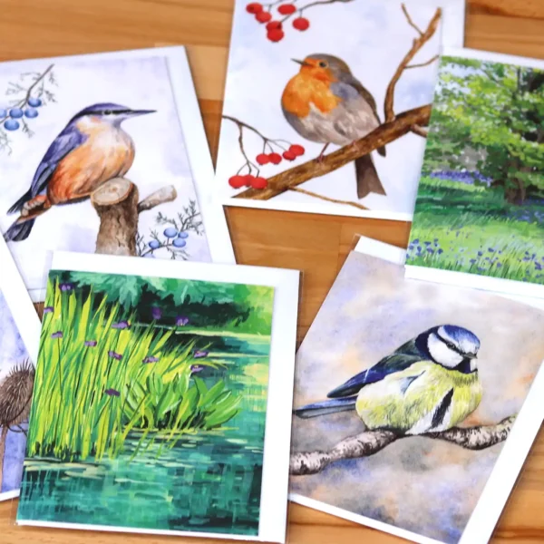 A6 Greetings Cards
